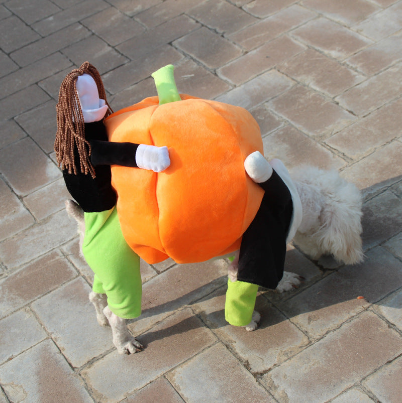 Pet Halloween costume