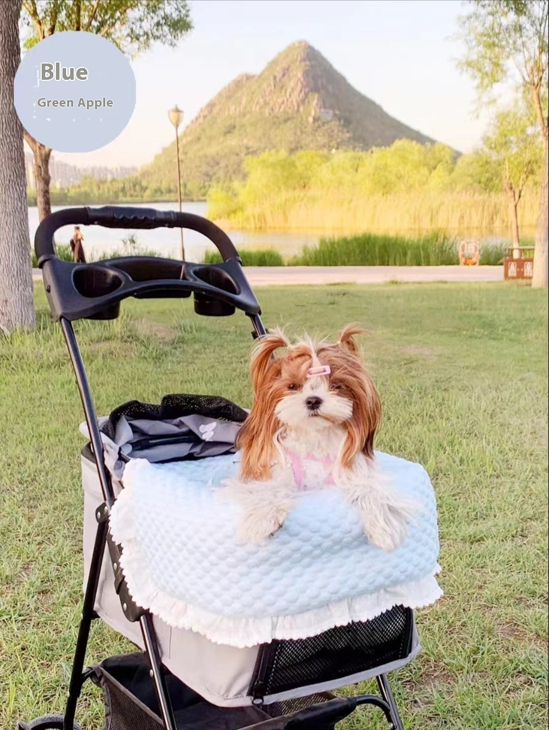 Pet Stroller
