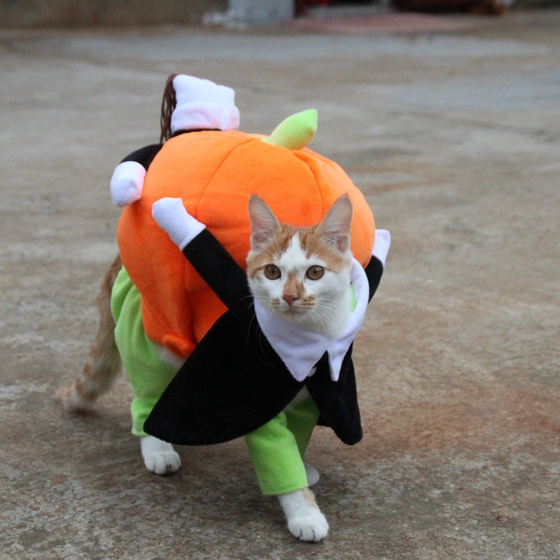 Pet Halloween costume