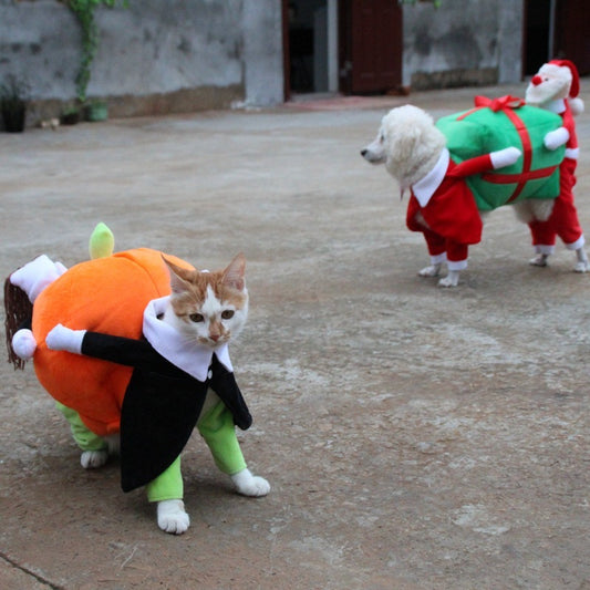 Pet Halloween costume
