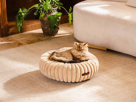 Donut Cat Bed