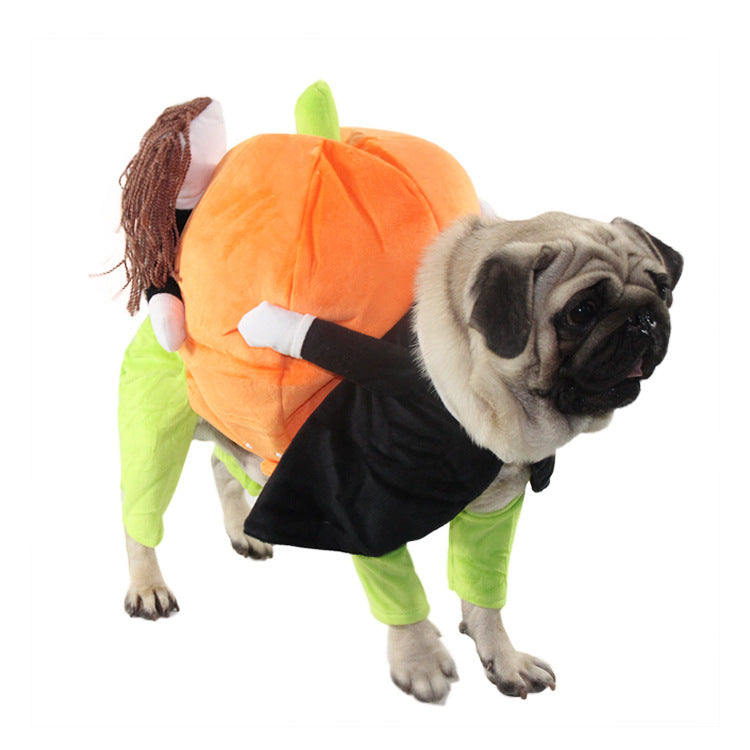 Pet Halloween costume
