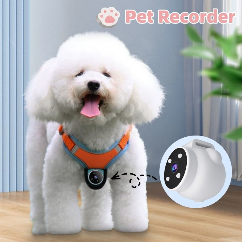 POV Pets Collar Camera