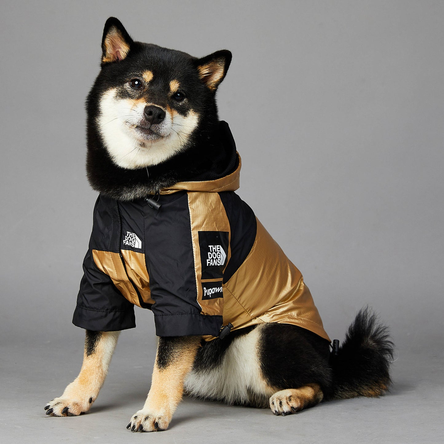 Large Raincoat Pet Jacket